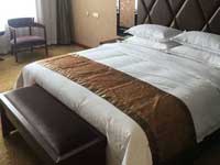 Himalayas Hotspring Hotel Room Type