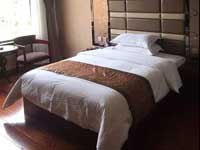 Himalayas Hotspring Hotel Room Type