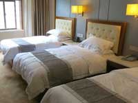 Wizard Aden Hotel Room Type