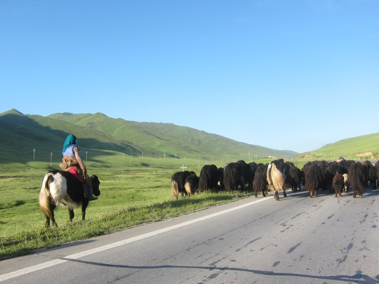 Kham Amdo Connection